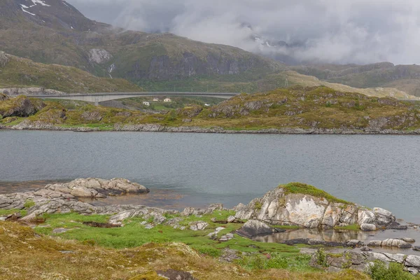 Působivý Letní Pohled Fjord Norsku Barevná Ranní Scéna Norsku Krása — Stock fotografie