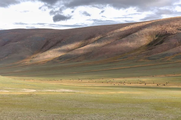 蒙古风景 Bayar Ulgii的Altai Tavan Bogd国家公园 — 图库照片