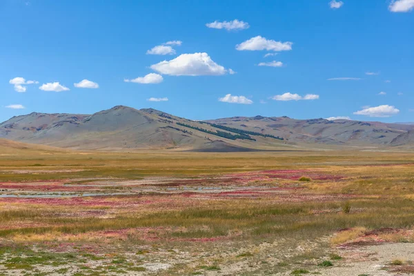 Paisagem Mongol Parque Nacional Altai Tavan Bogd Bayar Ulgii — Fotografia de Stock