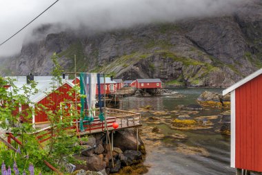 Nusfjord otantik balıkçı köyü geleneksel kırmızı rorbu ile kışın ev sahipliği yapmaktadır. Lofoten Adaları, Norveç