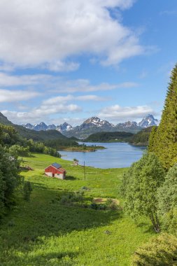 Güzel Norveç manzarası. Fiyortların manzarası. Norveç temiz suda fiyort yansıması için idealdir. seçici odak