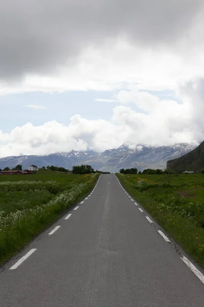 Асфальтовая Дорога Извивается Между Голубым Фьордом Горами Мха Крайнем Севере — стоковое фото