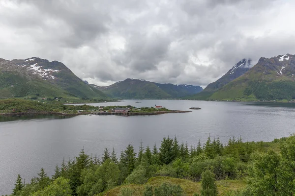 Norveç Yaz Manzarası Fiyort Dağlar Norveç Norveç Seçici Odaklanma Renkli — Stok fotoğraf