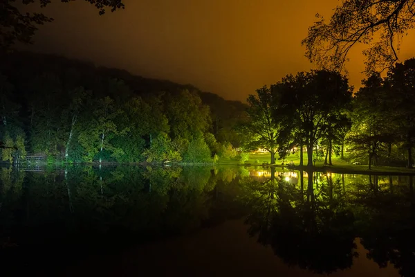 Scène Nocturne Pittoresque Forêt Avec Reflet Des Arbres Dans Eau — Photo