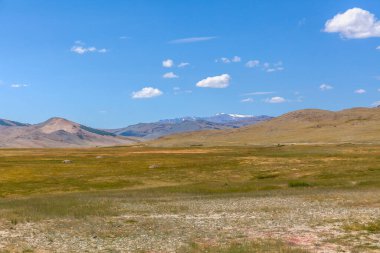 Tipik Moğol manzarası. Moğol Altai, Moğolistan