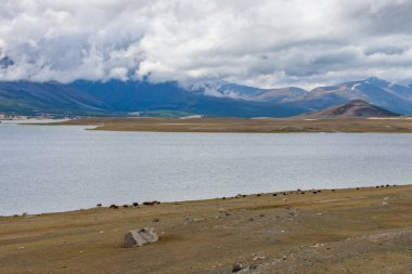 Altai Dağları 'ndaki Moğol manzaraları, geniş bir manzara..