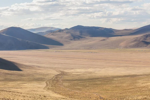 Ovinos Nas Pastagens Mongólia Altai — Fotografia de Stock