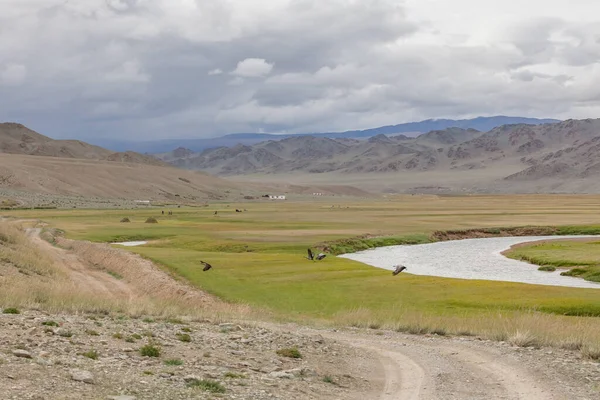 Typowy Widok Mongolskiego Krajobrazu Mongolski Altai Mongolia Żurawie Latające Pierwszym — Zdjęcie stockowe
