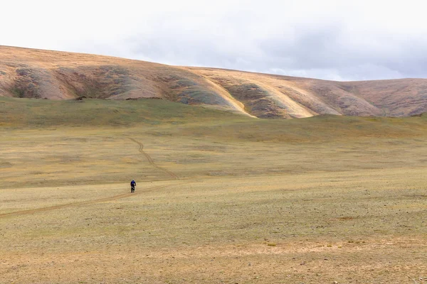 蒙古草原上骑摩托车的骑头盔的摩托车旅行者 — 图库照片