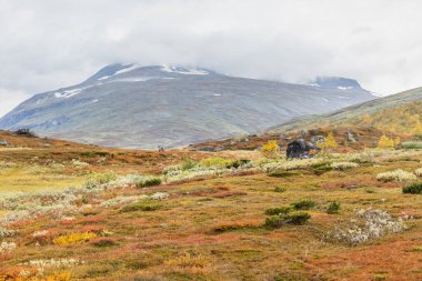 Laponya 'daki Sarek Ulusal Parkı Dağları, Sonbahar, İsveç, Seçici Odaklanma