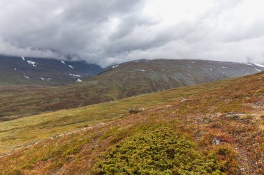 Vadi manzarası. Kuzey İsveç, Sarek Ulusal Parkı fırtınalı havada. seçici odak