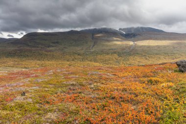 Sonbaharda İsveç 'in kuzeyinde Sarek Ulusal Parkı, seçici odaklı