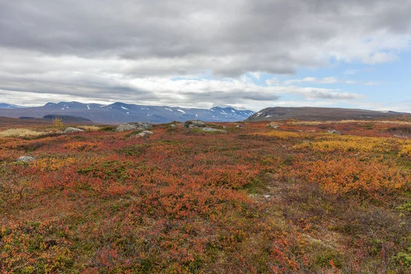 Sarek Nemzeti Park Észak Svédországban Ősszel Szelektív Fókusz — Stock Fotó