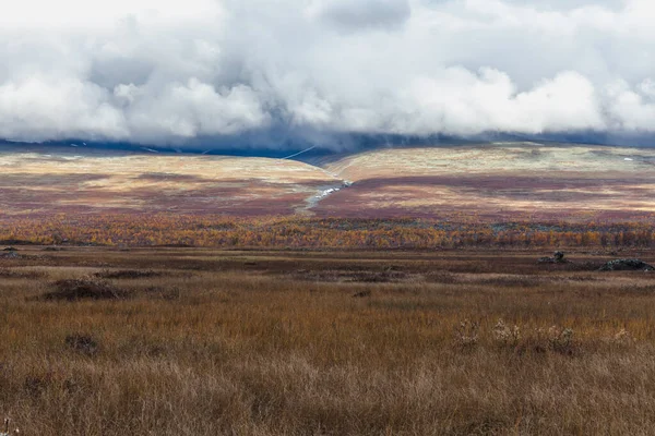 Sareks Nationalpark Norra Sverige Hösten Selektivt Fokus — Stockfoto