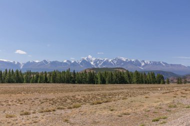 Belukha Dağı manzarası. - Rusya. Belukha Dağı, Altai 'nin Altın Dağları adlı Dünya Mirası Alanının bir parçasıdır..