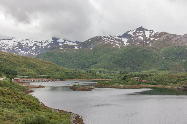 Noorse Zomer Landschap Fjord Bergen Noorwegen Selectieve Focus Kleurrijke Ochtendscene — Stockfoto