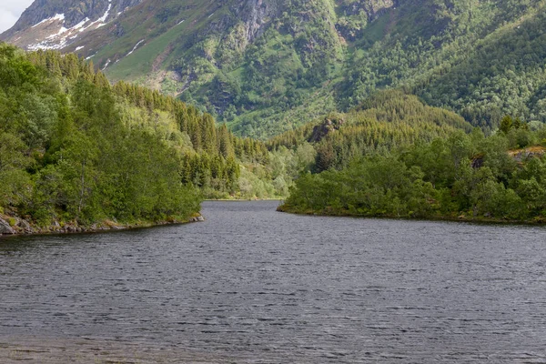 Norsk Sommarlandskapsfjord Fjäll Norge Selektivt Fokus Färgstark Morgonscen Norge — Stockfoto