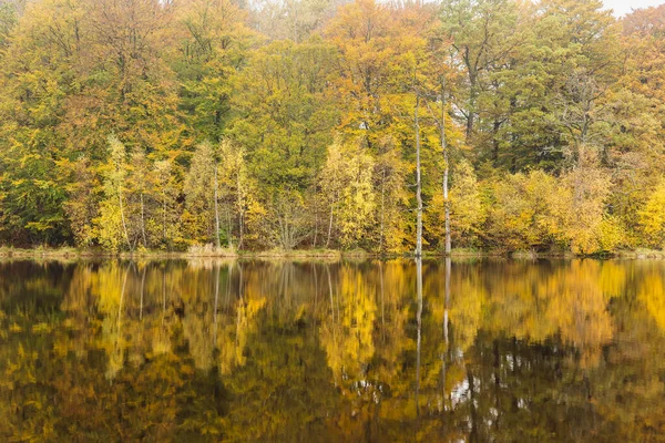 Petit Lac Forestier Par Une Matinée Ensoleillée Automne Dans Parc — Photo