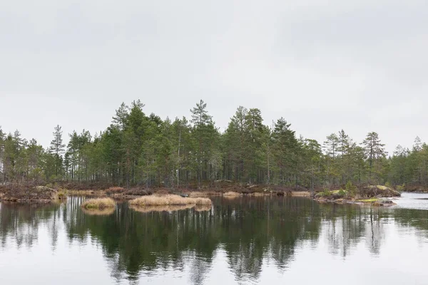 Jezioro Spokojna Woda Odbicie Lasu Wodzie Zachmurzony Krajobraz Jesienny Szwecja — Zdjęcie stockowe