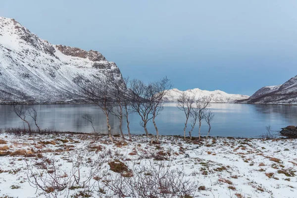 Tromso Norveç Güzel Bir Fiyort Manzarası Var Kış Kutup Gecesi — Stok fotoğraf