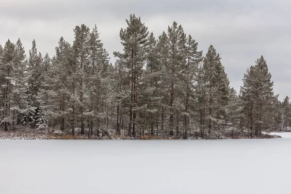 Lac Gelé Recouvert Neige Par Une Journée Nuageuse Hiver Suède — Photo