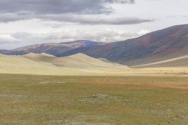 Tipik Moğol manzarası. Moğol Altai, Moğolistan