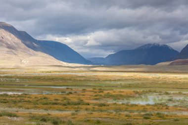 Tipik Moğol manzarası. Moğol Altai, Moğolistan