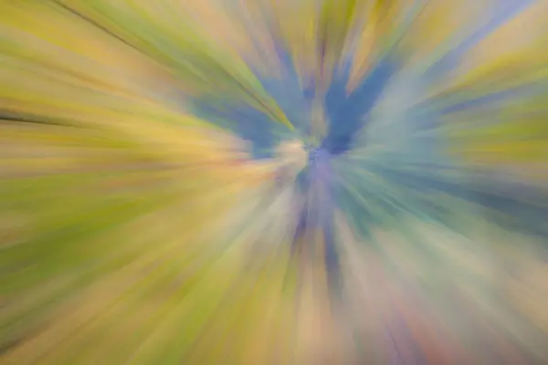 Abstract Photo Forest Autumn Photographed Different Effects Motion Zoom Colorful — Stock Photo, Image