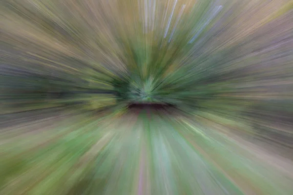 Abstract Photo Forest Road Summar Photographed Different Effects Motion Zoom — Stock Photo, Image
