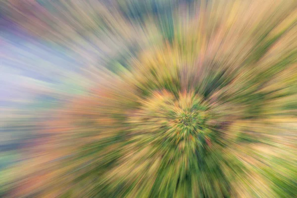 Abstract Photo Forest Autumn Photographed Different Effects Motion Zoom Colorful — Stock Photo, Image