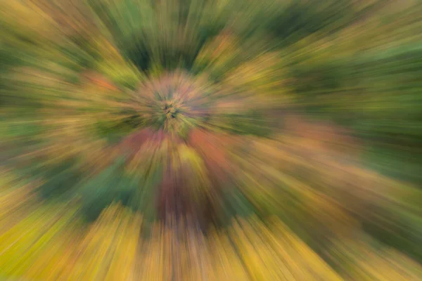 Foto Abstracta Bosque Otoño Fotografiado Con Diferentes Efectos Movimiento Zoom — Foto de Stock