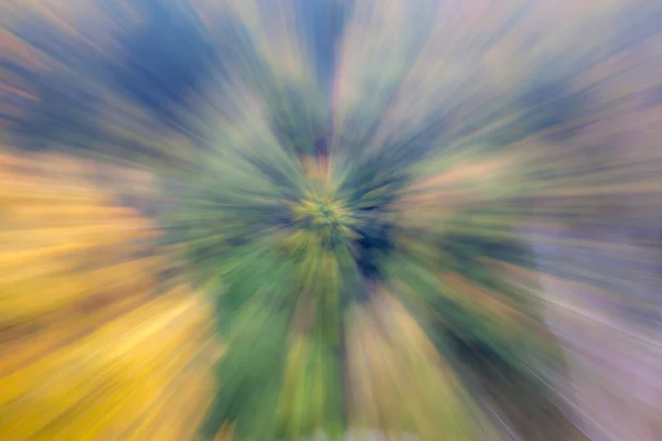Streszczenie Zdjęcia Las Jesienią Sfotografowany Różnymi Efektami Ruchu Zoomu Kolorowe — Zdjęcie stockowe