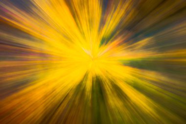 Soyut fotoğraf, sonbaharda orman hareket ve yakınlaştırmanın farklı etkileriyle fotoğraflanmış. Renkli desenli arka plan. uzun deklanşör hızı.