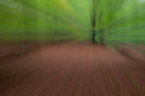 Foto Abstracta Bosque Verano Fotografiado Con Diferentes Efectos Movimiento Zoom — Foto de Stock