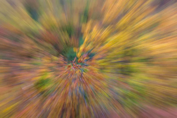 Photo Abstraite Forêt Automne Photographiée Avec Différents Effets Mouvement Zoom — Photo