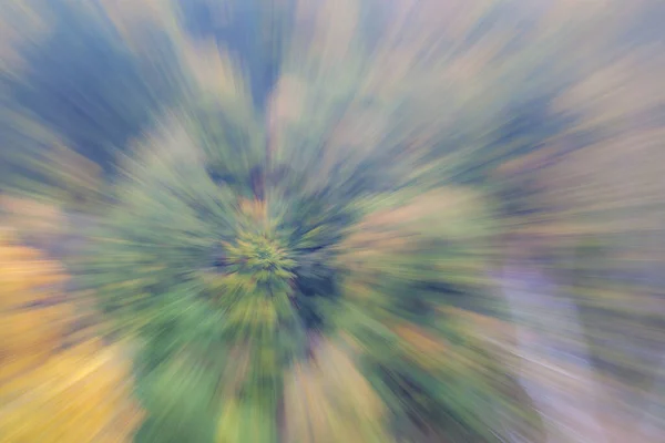 Photo Abstraite Forêt Automne Photographiée Avec Différents Effets Mouvement Zoom — Photo