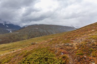 İsveç Laponya 'daki Sarek ulusal parkının güzel vahşi doğası. Karlı dağ zirveleri, nehir ve göl, huş ağacı ve çam ağaçları ormanı. Fırtınalı havada sonbahar renkleri. seçici odak