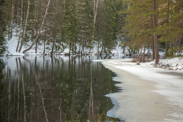 Paisagem Inverno Suécia Derreter Neve Lago Foco Seletivo — Fotografia de Stock