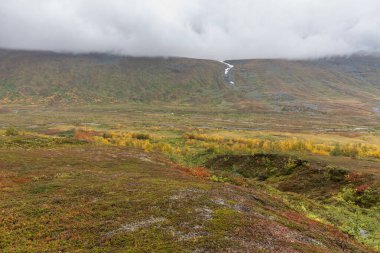 Sonbaharda İsveç 'in kuzeyinde Sarek Ulusal Parkı, seçici odaklı