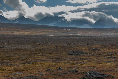 Sonbaharda İsveç 'in kuzeyinde Sarek Ulusal Parkı, seçici odaklı