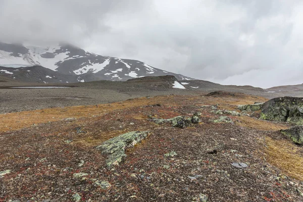 Parco Nazionale Sarek Paesaggio Pietra Montagna Attenzione Selettiva — Foto Stock