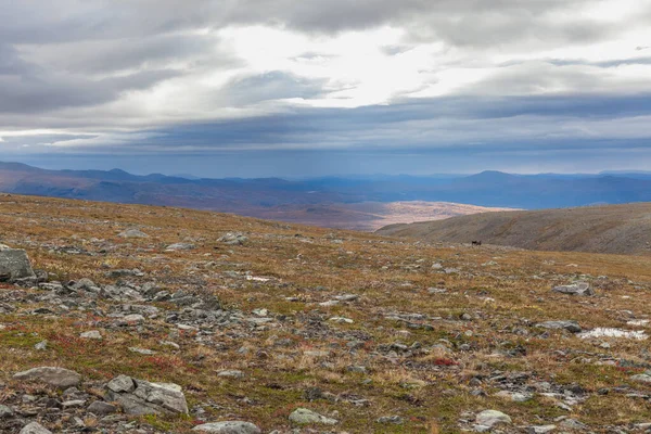 Sarek National Park Lapland View Mountain Sweden Selective Focus — 스톡 사진