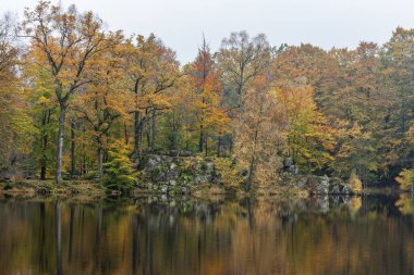 Sonbahar ormanında güneş ışığı ve deniz kenarındaki ağaçlar. Gölün etrafında yürüyüş parkuru. İsveç 'te sonbahar manzarası.