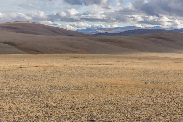 Dry Mongolian landscapes in the Altai Mountains, wide landscape.