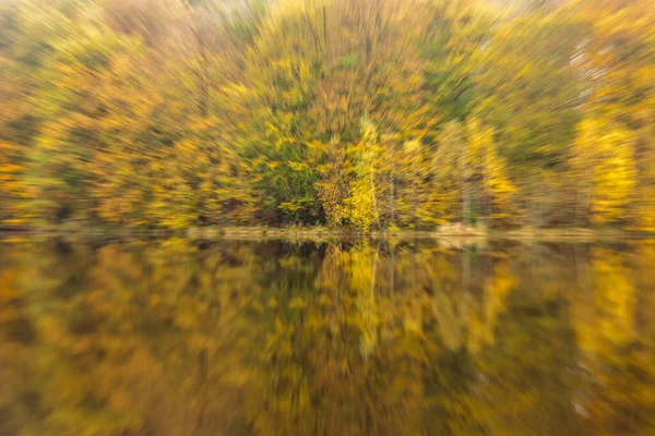 Praia Lago Outonal Com Floresta Sob Céu Árvores Costa Rochosa — Fotografia de Stock