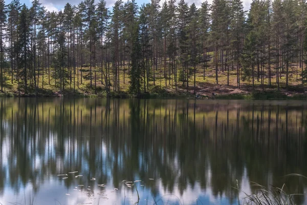 Céu Nublado Árvore Reflexão Área Isolada Junto Lago Águas Calmas — Fotografia de Stock