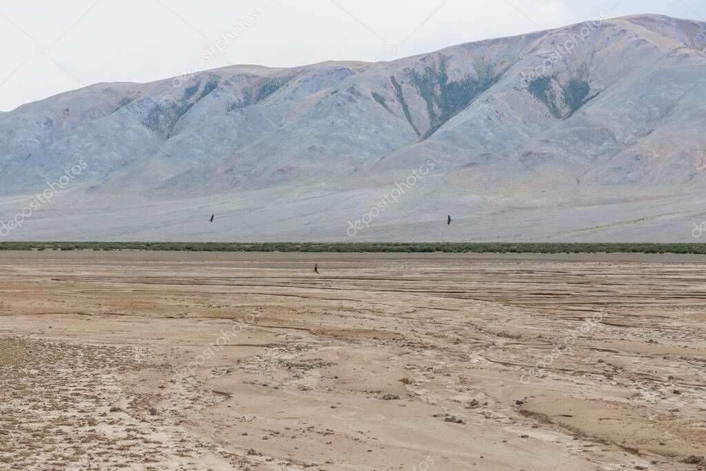 Dry Mongolian landscapes in the Altai Mountains, wide landscape.