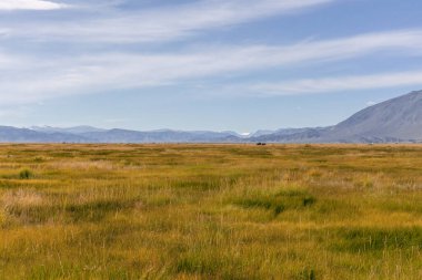 Mongolian landscape, green pastures in the hills of Mongolia. clipart