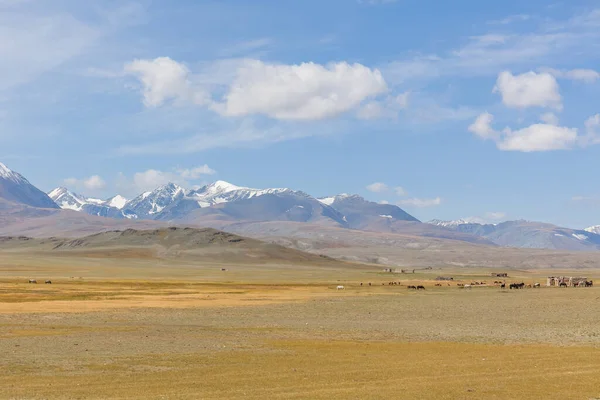 Typowy Widok Mongolskiego Krajobrazu Mongolski Altai Mongolia — Zdjęcie stockowe