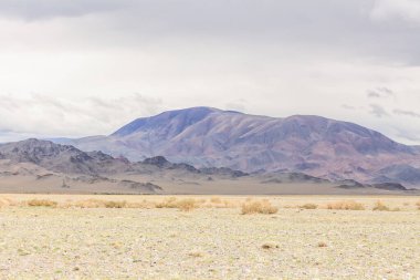 Altai Dağları 'ndaki Moğol manzaraları, geniş bir manzara..